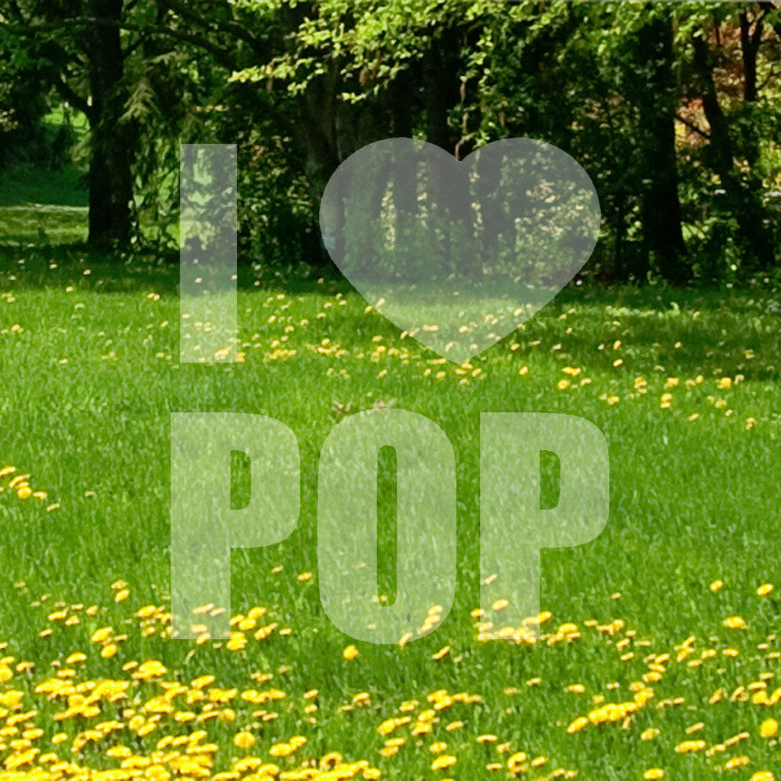 I Love Pop Heart