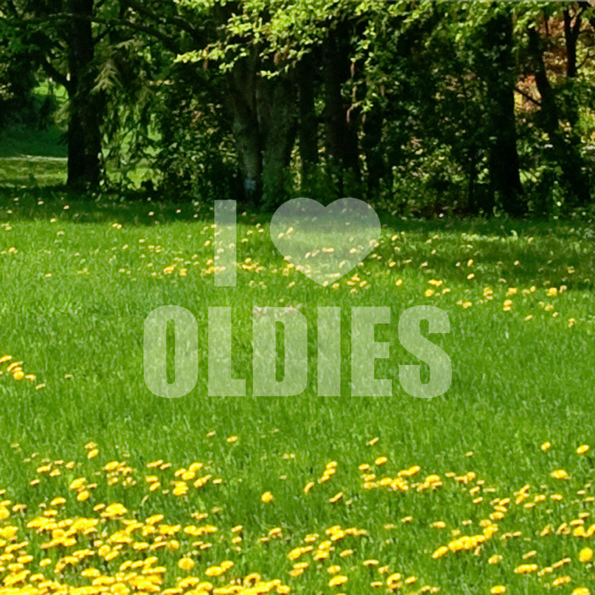 I Love Oldies Heart
