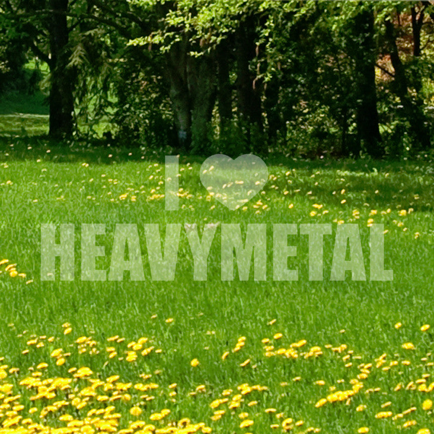 I Love Heavy Metal Heart