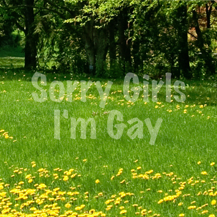 Sorry Girls I'm Gay