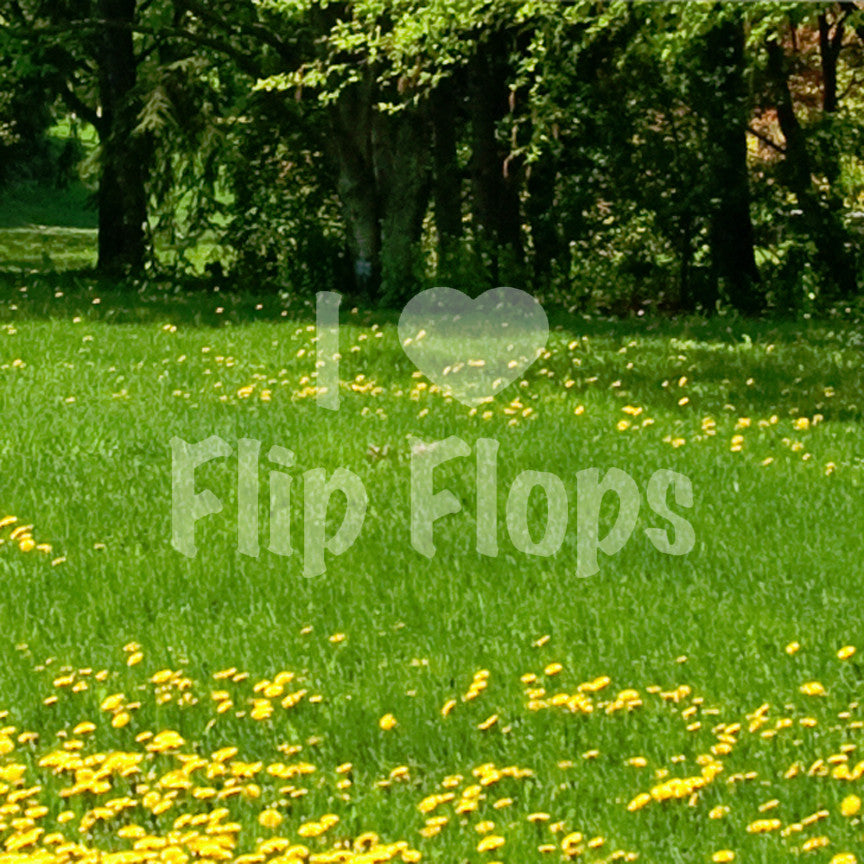 I Love Flip Flops Heart