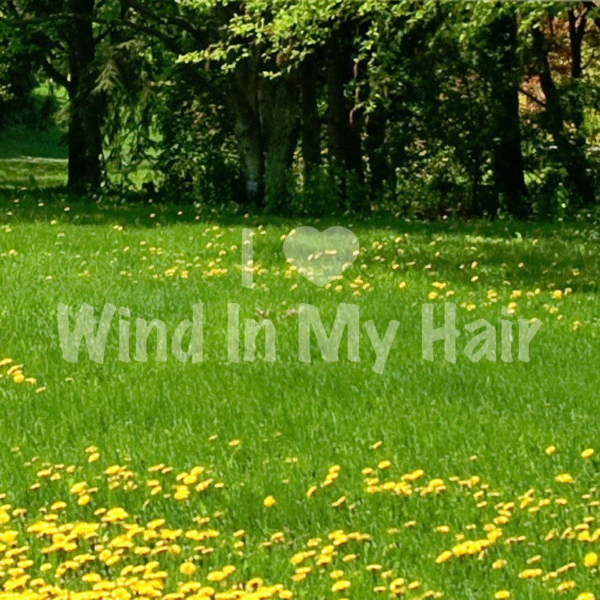 I Love Wind In Hair Heart