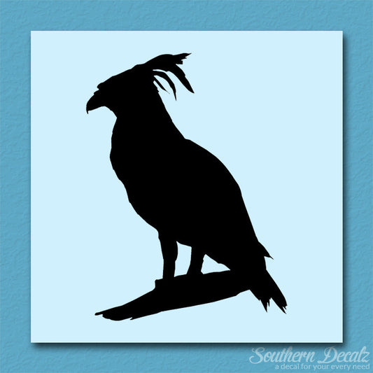 Harpy Eagle Bird