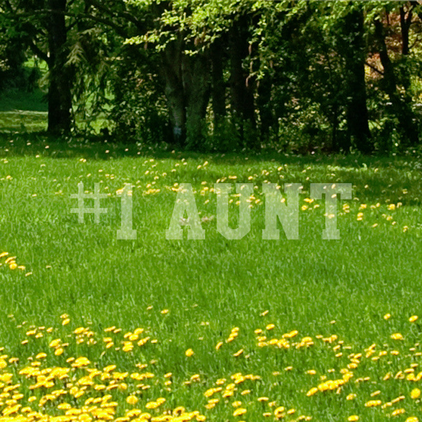#1 Aunt Number One