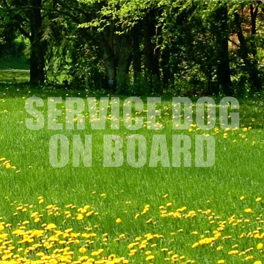 Service Dog On Board