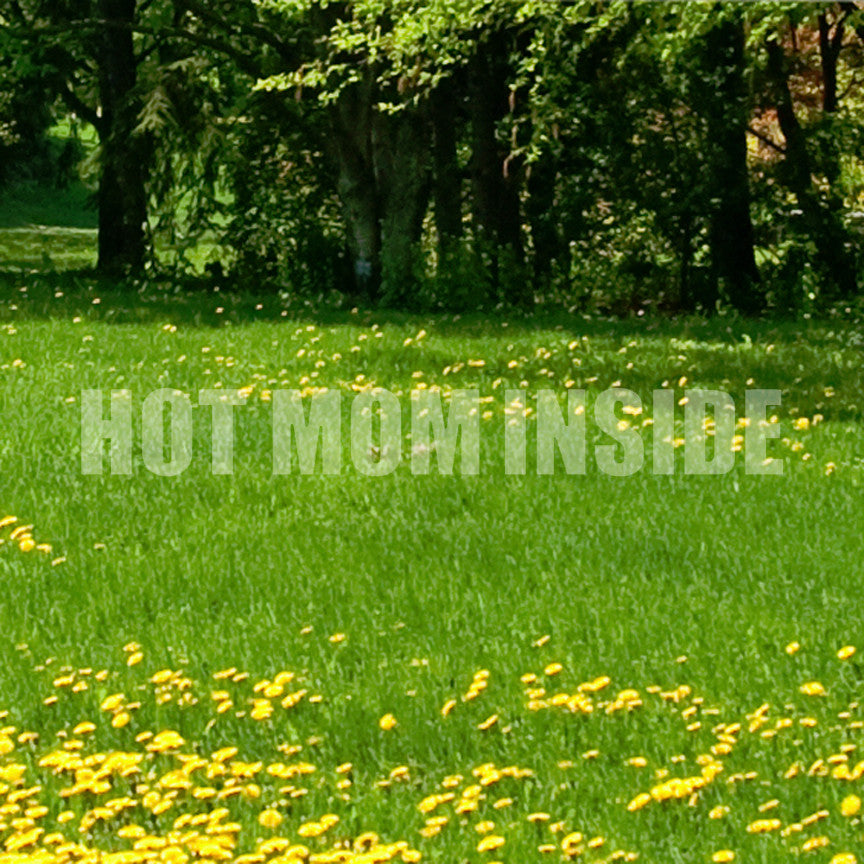Hot Mom Inside