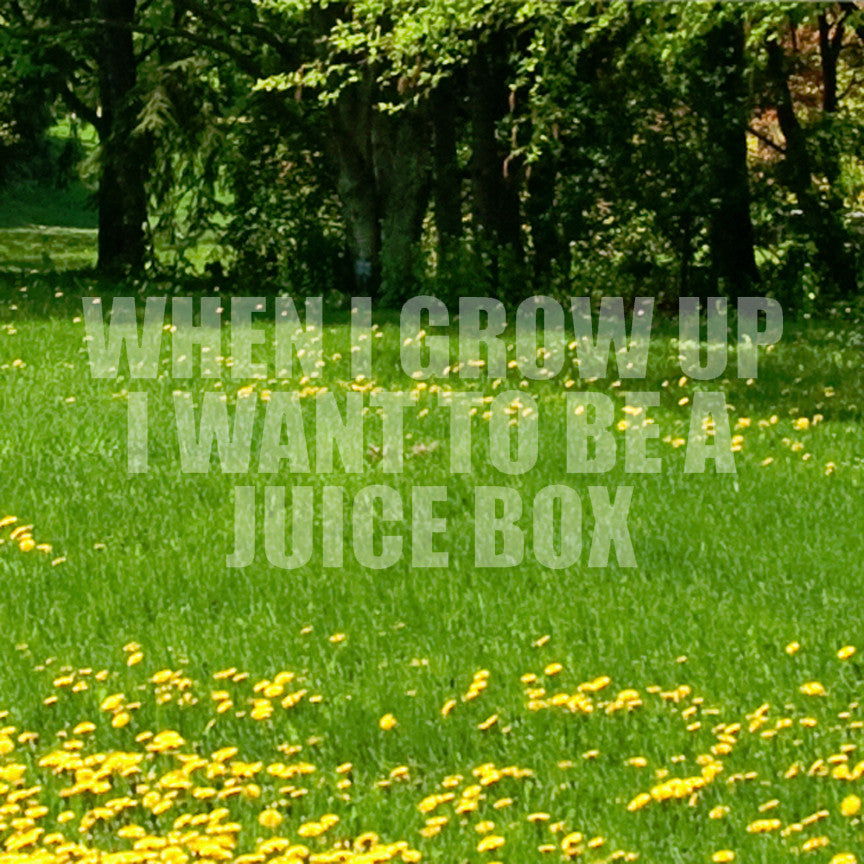When I Grow Up Juice Box