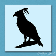 Harpy Eagle Bird