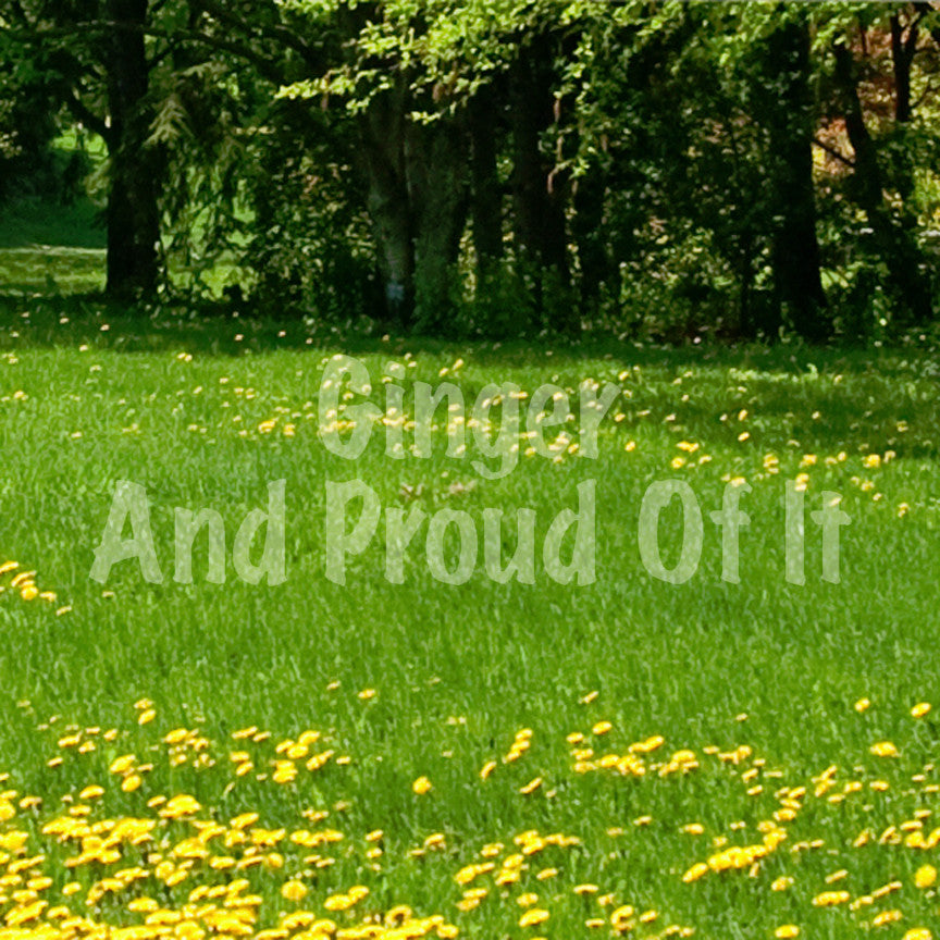 Ginger And Proud Of It