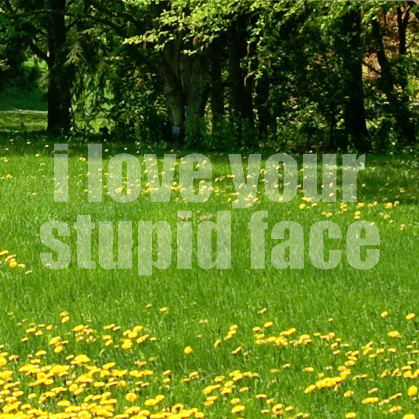 Love Your Stupid Face