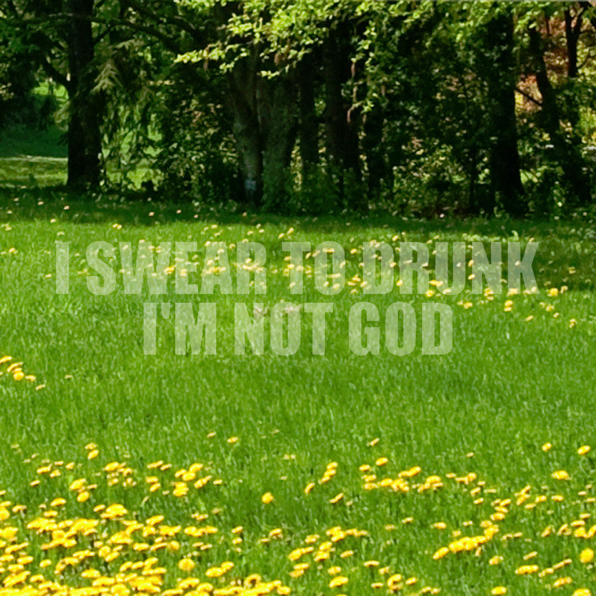 Swear To Drunk Not God