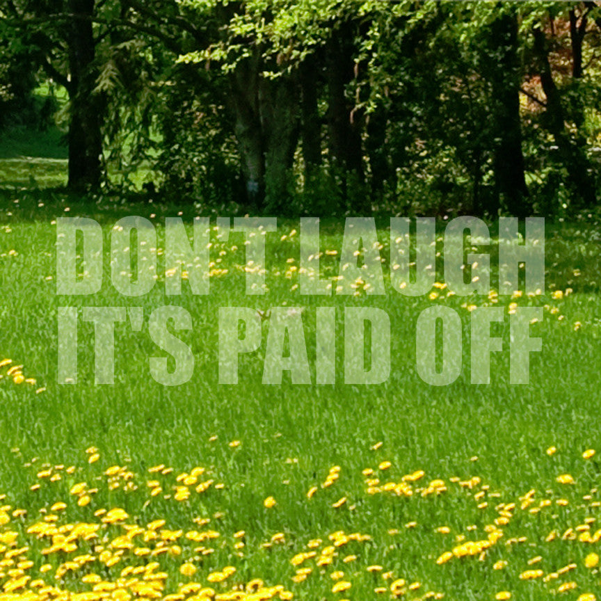Don't Laugh Paid Off