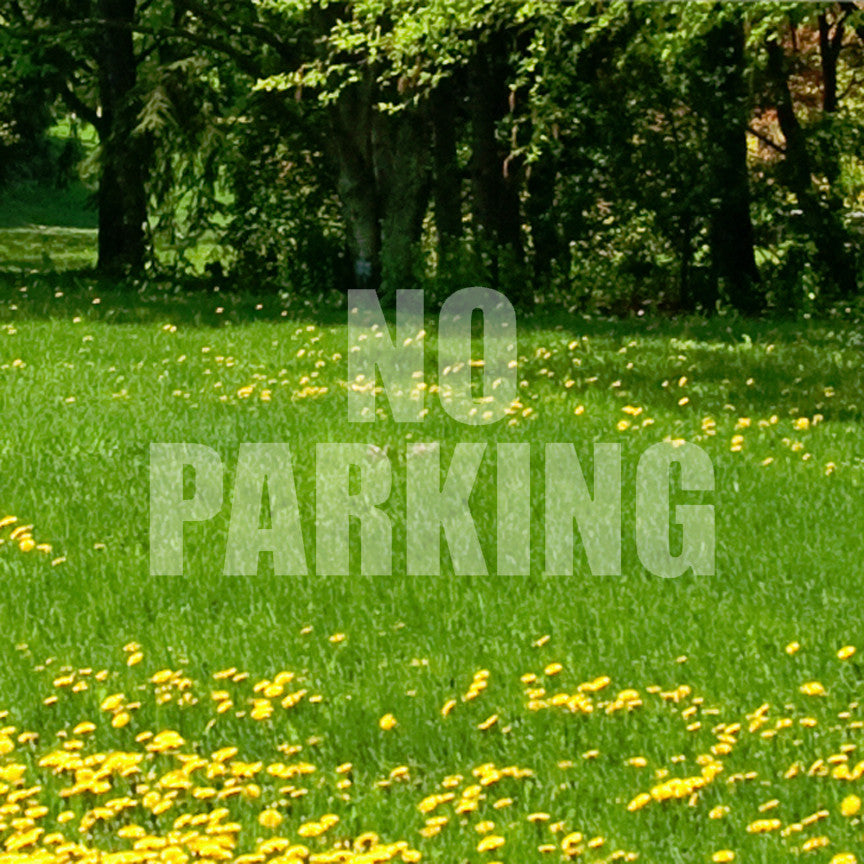 No Parking