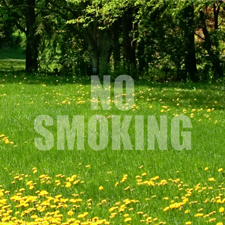 No Smoking