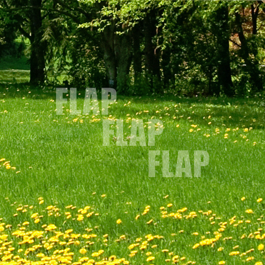 Flap Flap Flap