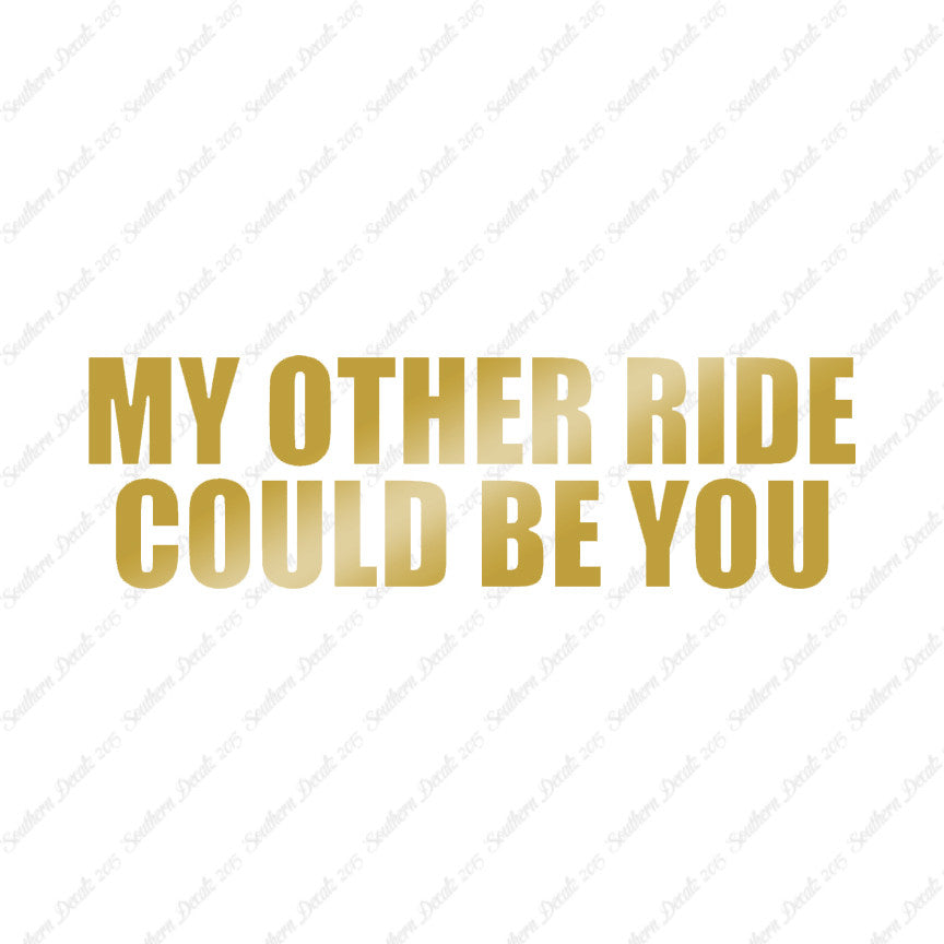 Other Ride Could Be You