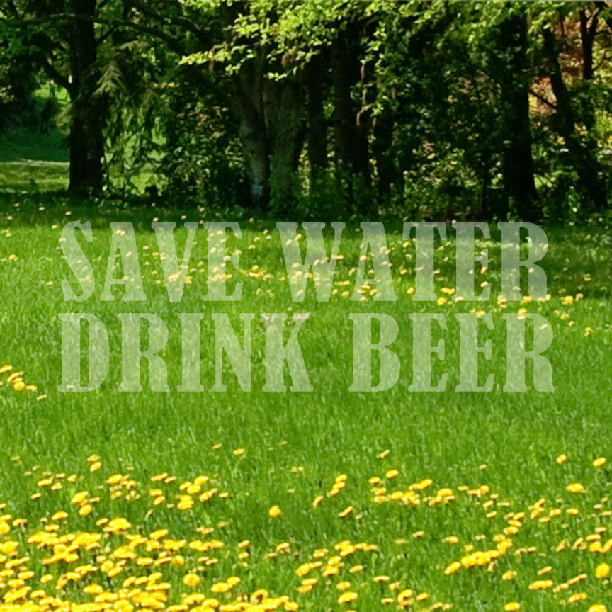 Save Water Drink Beer