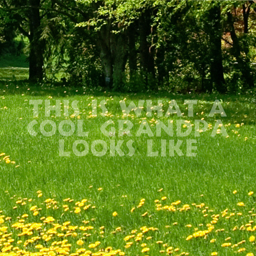 Cool Grandpa Looks Like