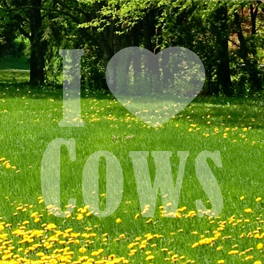 I Heart Love Cows