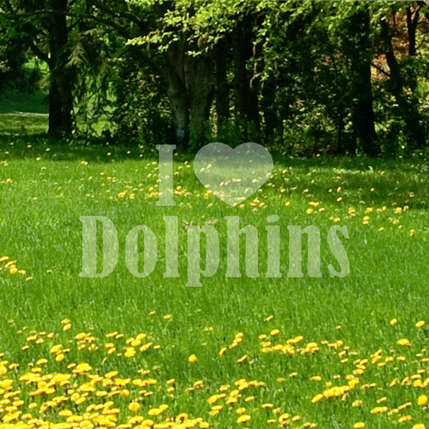 I Heart Love Dolphins