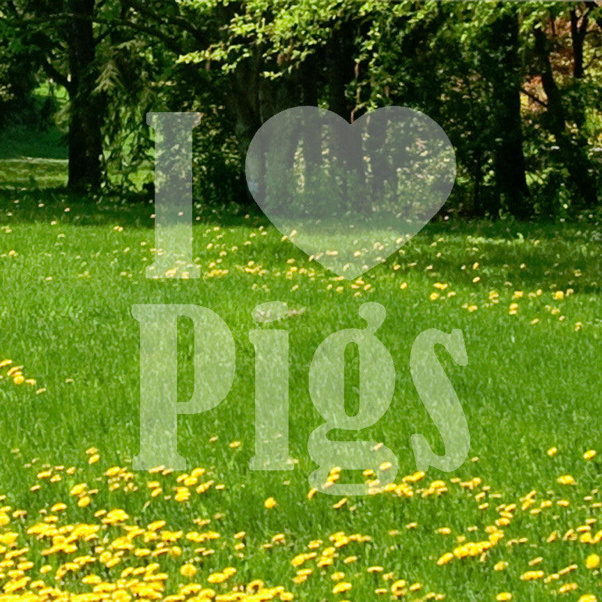I Heart Love Pigs