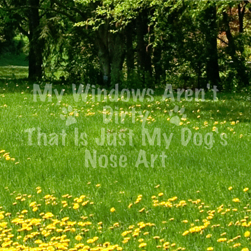 Windows Not Dirty Dog Nose Art