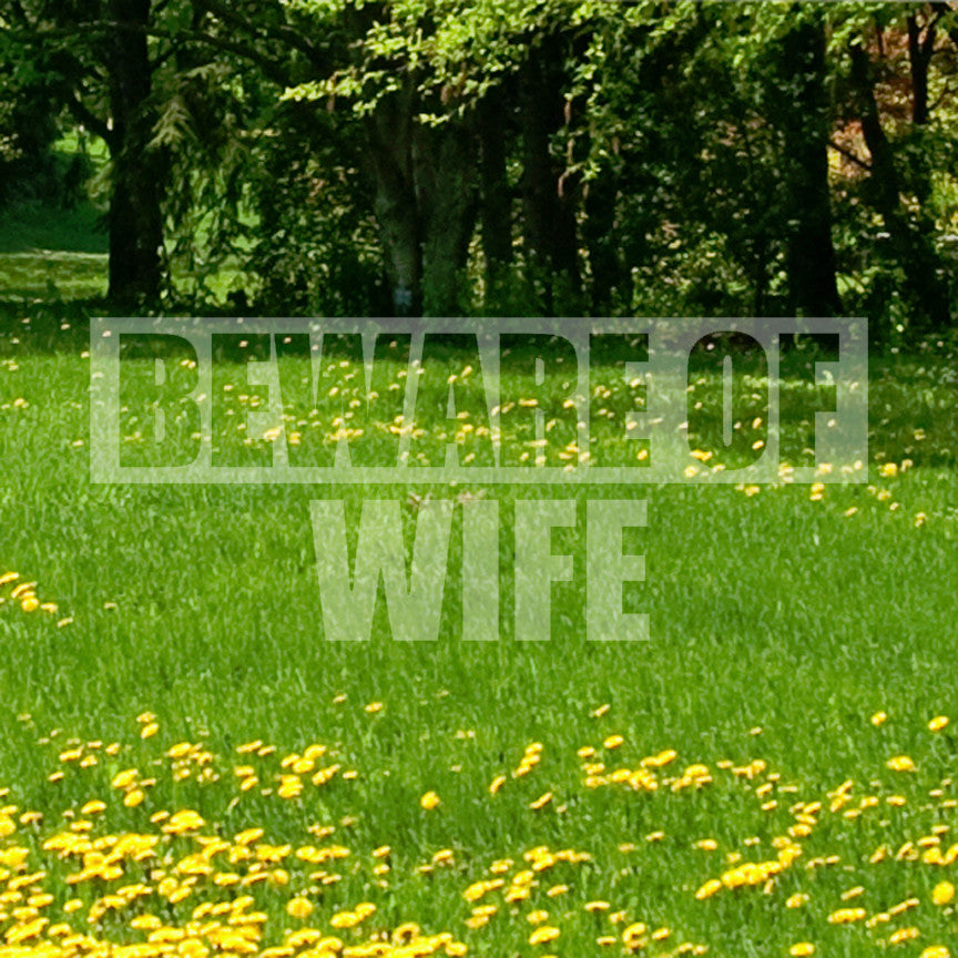 Beware Of Wife