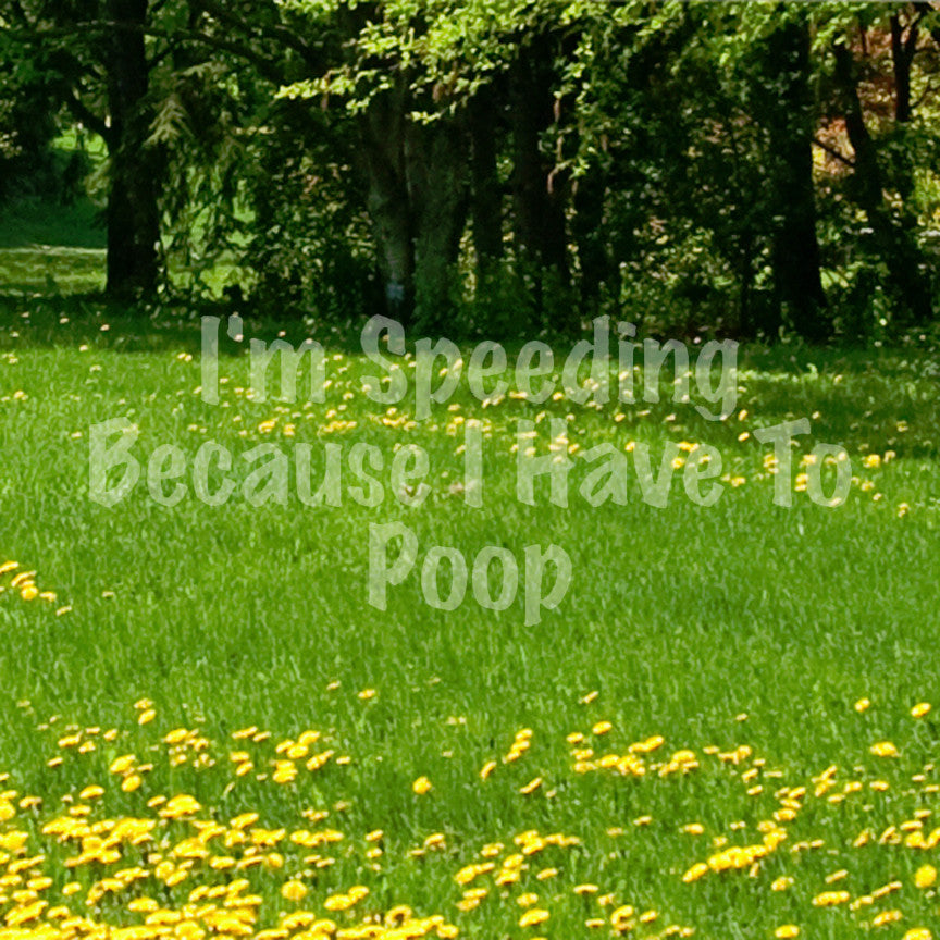 Speeding Because I Have To Poop
