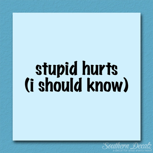Stupid Hurts I Should Know