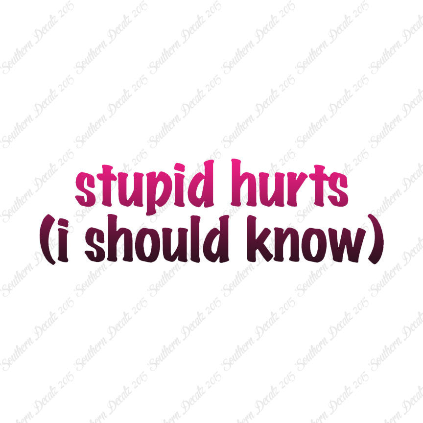 Stupid Hurts I Should Know