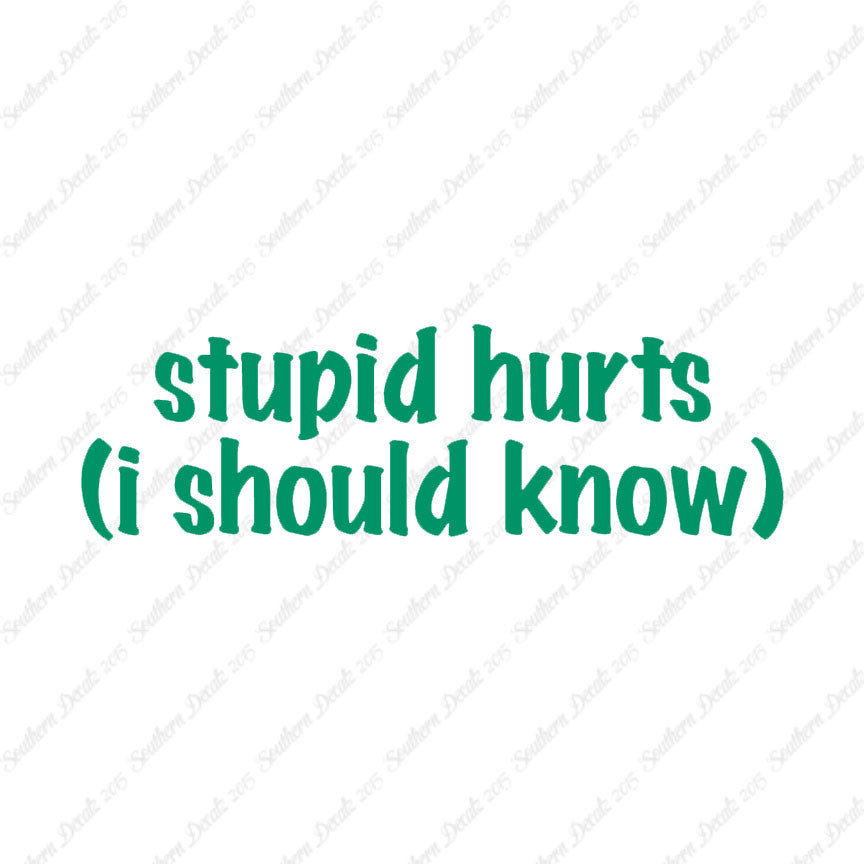 Stupid Hurts I Should Know