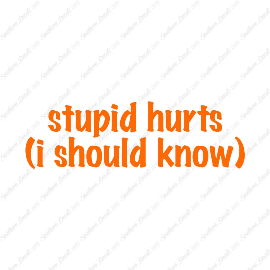 Stupid Hurts I Should Know