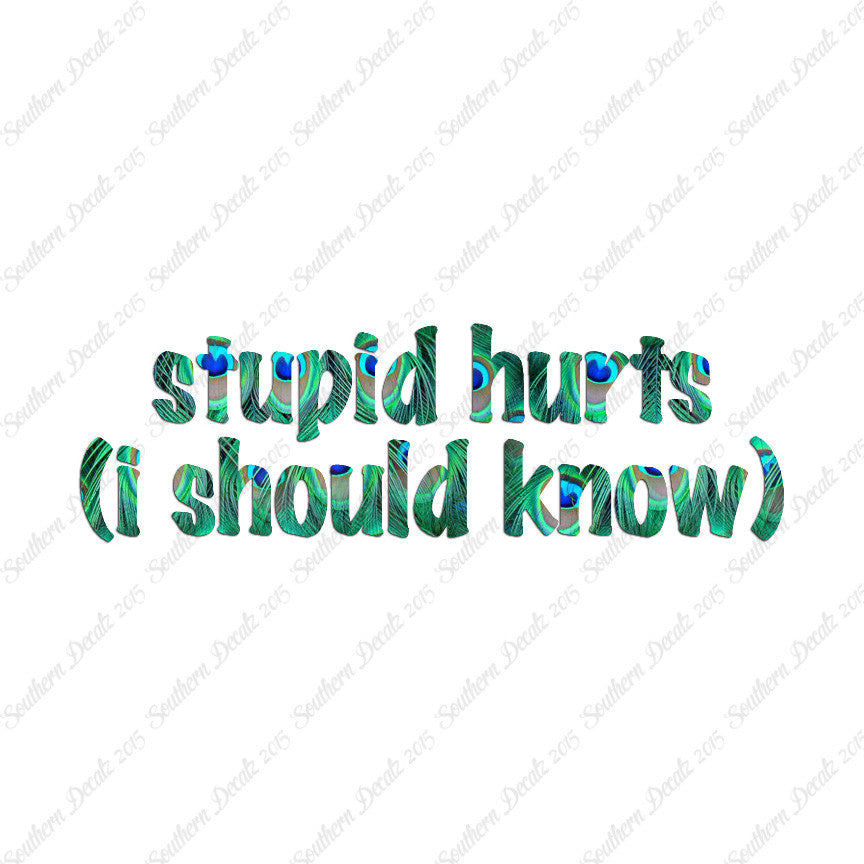 Stupid Hurts I Should Know