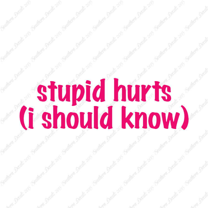 Stupid Hurts I Should Know