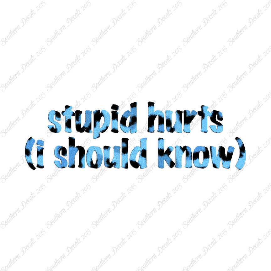 Stupid Hurts I Should Know