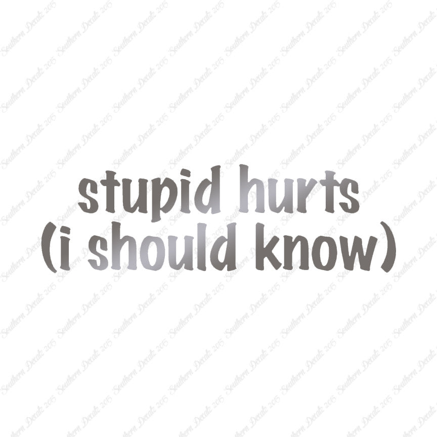 Stupid Hurts I Should Know