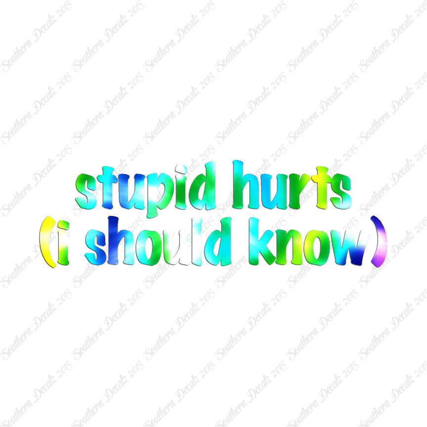 Stupid Hurts I Should Know