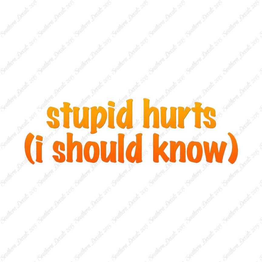 Stupid Hurts I Should Know
