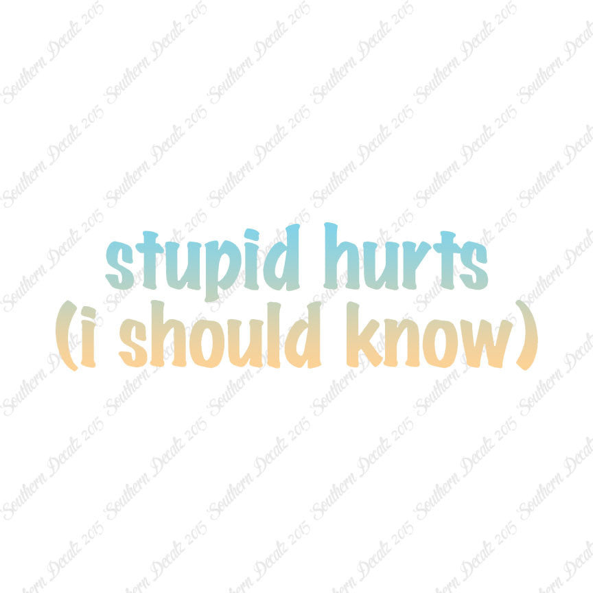 Stupid Hurts I Should Know