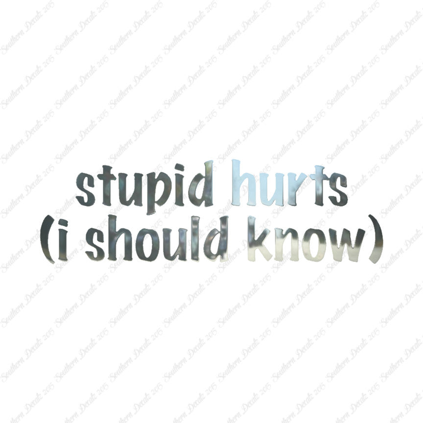Stupid Hurts I Should Know