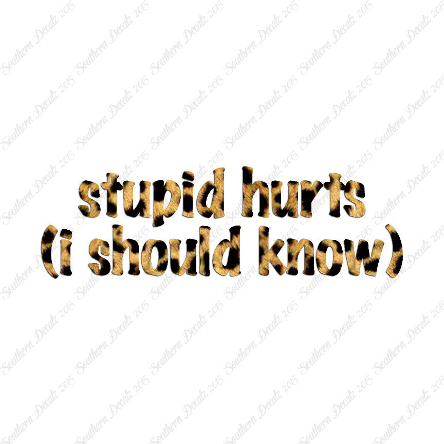 Stupid Hurts I Should Know