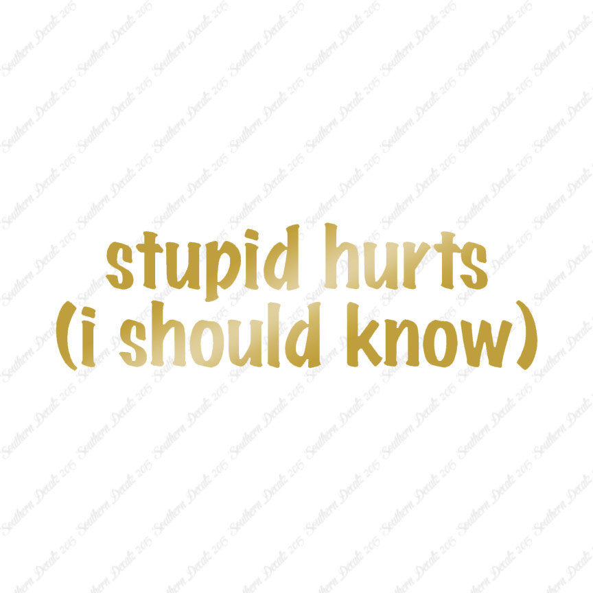 Stupid Hurts I Should Know