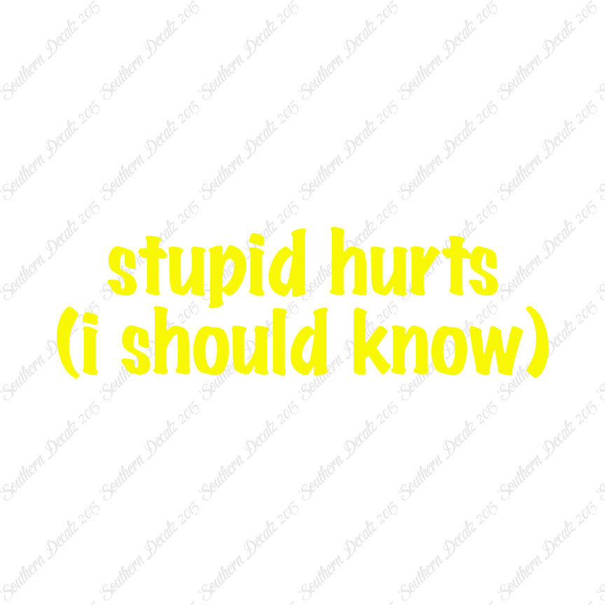Stupid Hurts I Should Know