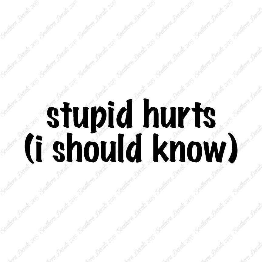 Stupid Hurts I Should Know