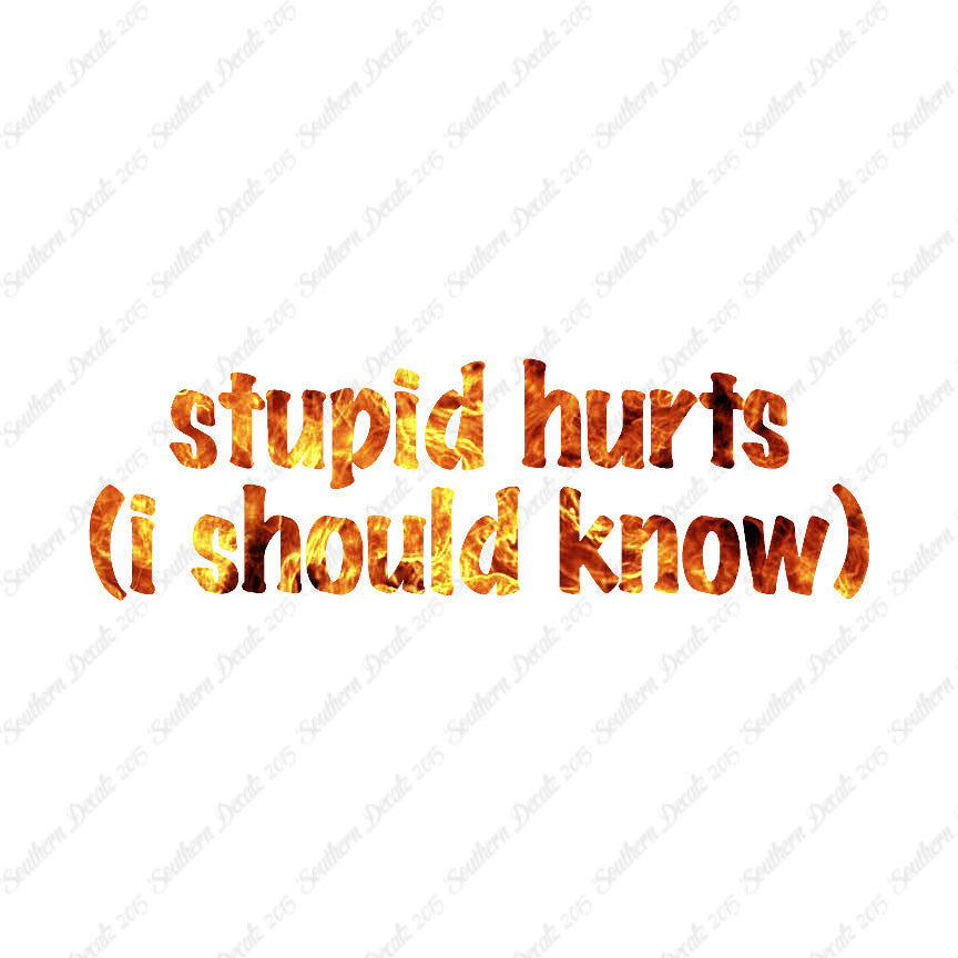 Stupid Hurts I Should Know