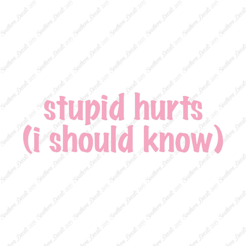 Stupid Hurts I Should Know