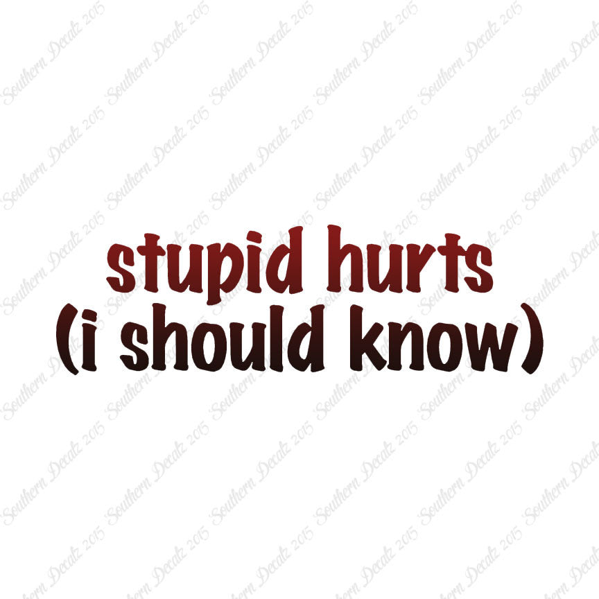 Stupid Hurts I Should Know