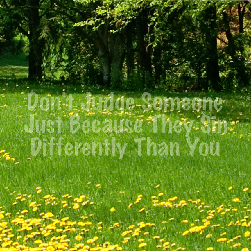 Don't Judge Because They Sin Differently