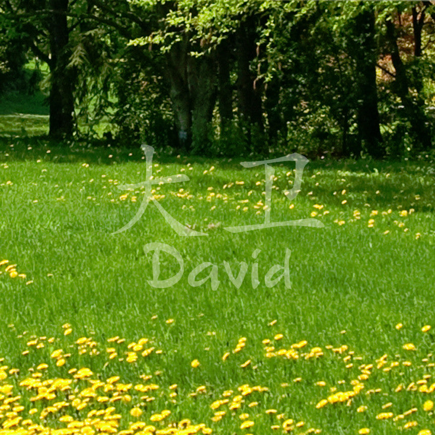 Chinese Name Symbols "David"