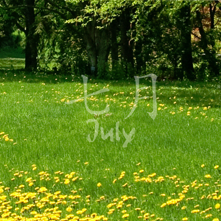 Chinese Symbols "July" Vinyl Decal Stick